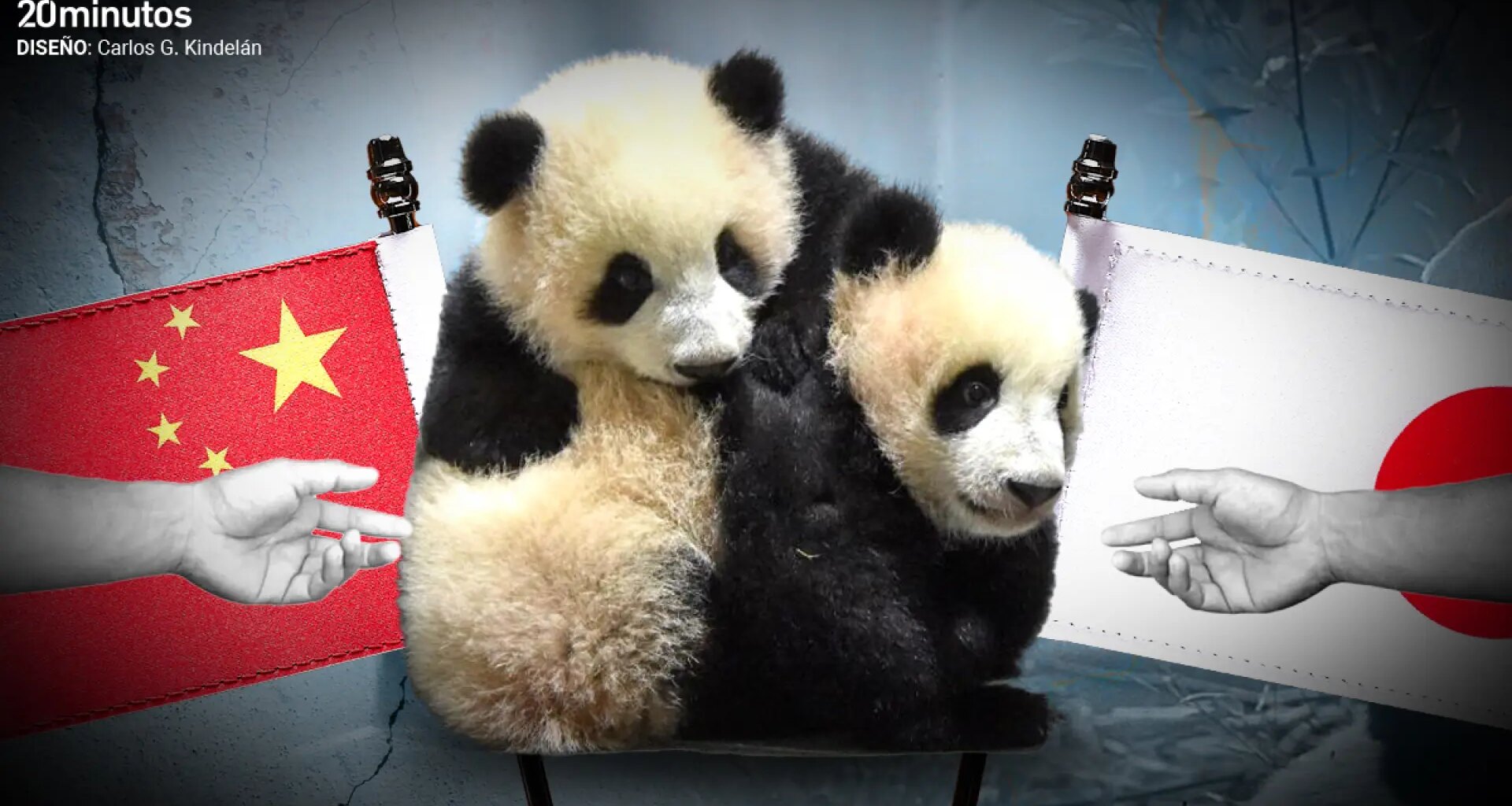 Japón ya no tendrá a los osos panda Xiao Xiao y Lei Lei