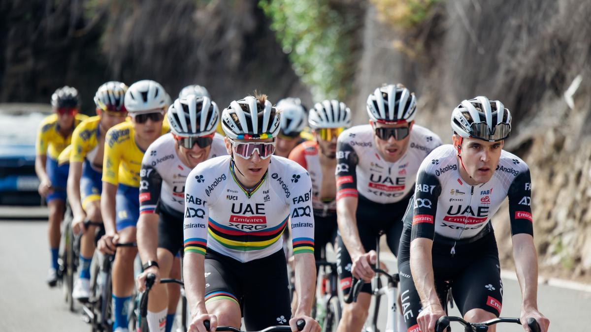 “La tradición está siendo un freno”