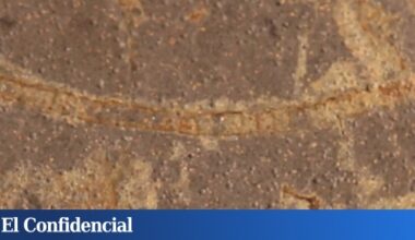 Canadá rompe una roca y descubre indicios de vida muy anteriores a lo que se creía posible