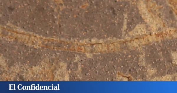 Canadá rompe una roca y descubre indicios de vida muy anteriores a lo que se creía posible