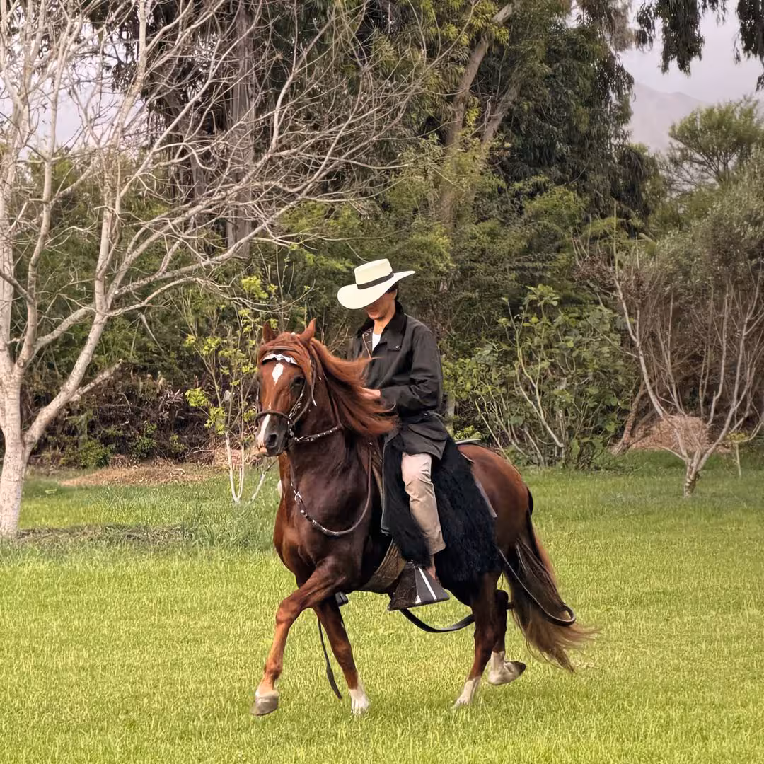 En su finca "El Valentín", en El Carmen, Chincha (Ica). Roca Rey monta a caballo y disfruta de la naturaleza, que lo inspira y le da paz, antes de trasladarse a Lima para celebrar el décimo aniversario de su alternativa