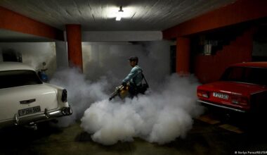 "Chikungunya", la palabra del año en Cuba – DW – 24/11/2025