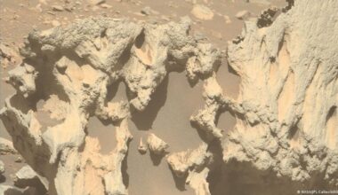 nunca había visto algo así – DW – 26/11/2025