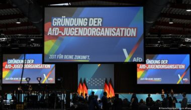 Partido AfD funda nueva organización juvenil en Alemania – DW – 29/11/2025