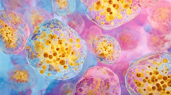 Estudios recientes abren la puerta