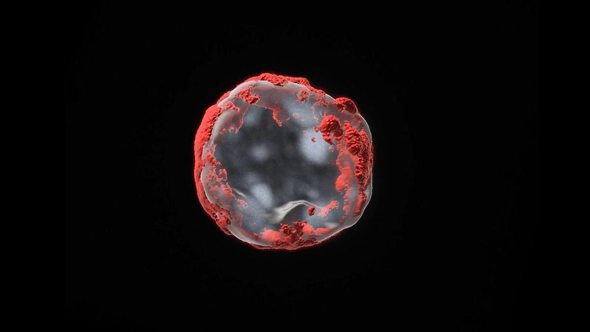 Reconstrucción 3D de una célula madre hematopoyética envejecida