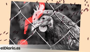 qué ha cambiado en las últimas semanas y qué riesgo corremos