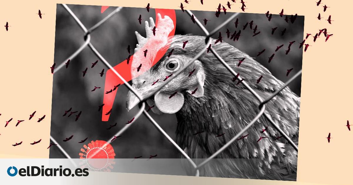 qué ha cambiado en las últimas semanas y qué riesgo corremos