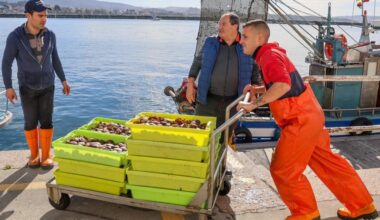 La volandeira regresa a Cambados pisando fuerte
