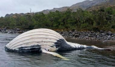 Página de inicio de Yahoo news