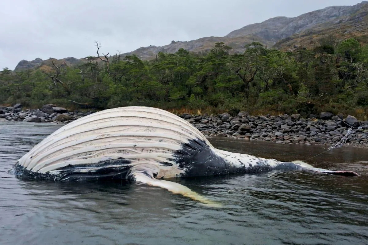 Página de inicio de Yahoo news