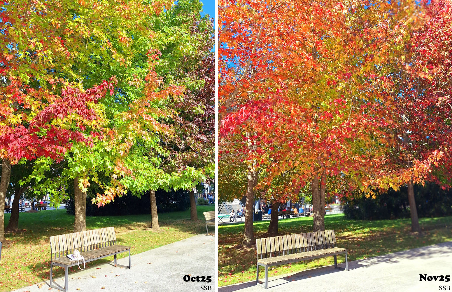 Otoño en la EHU - Campusa