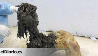 extraen el ARN más antiguo del mundo, de hace 40.000 años