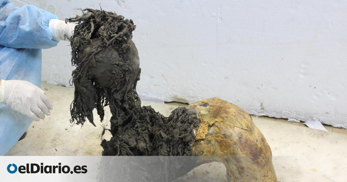 extraen el ARN más antiguo del mundo, de hace 40.000 años