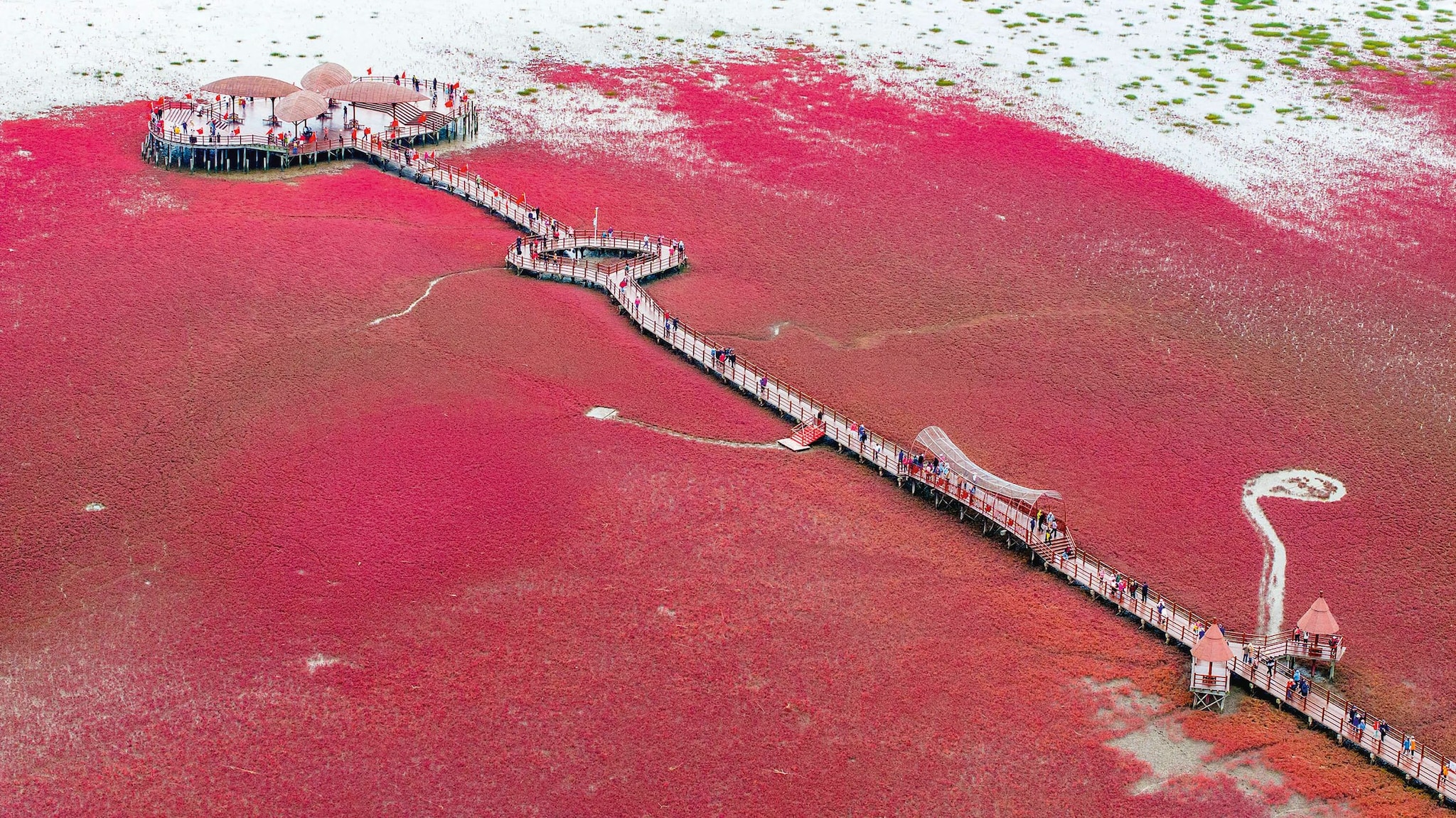 Vista aérea de un puente peatonal sobre la playa roja de Panjin en China con multitud de personas