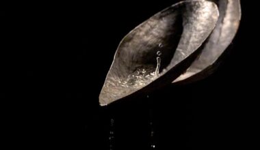 Un valioso murmullo: Cristina Mejías en Matadero