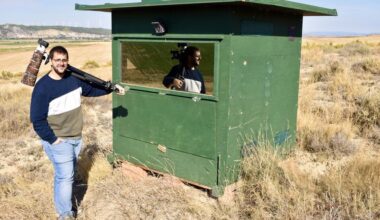 Fotografiar fauna salvaje en Marcilla