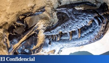 ahora sabemos la ciencia se equivocó durante décadas