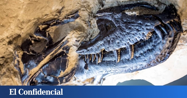 ahora sabemos la ciencia se equivocó durante décadas