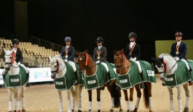 Sicab 2025 se despide con un aumento del 3% en el número de visitantes