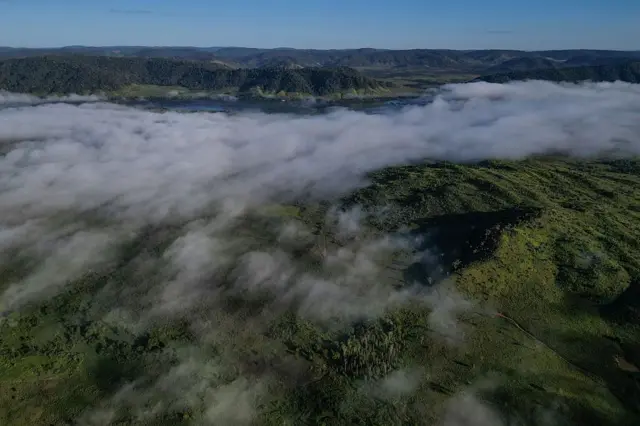 Vista aérea de la selva amazónica y las nubes que se ven sobre ella.