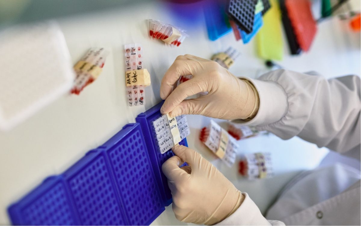 La Fundación "la Caixa" dota con 26 millones a 34 proyectos de investigación biomédica con potencial impacto social | Líder en Información Social