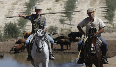 El ganadero Julio de la Puerta sufre una grave cogida en su finca
