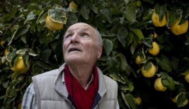 Las puertas de Antonio López para la Catedral de Burgos, el último sueño de un artista total