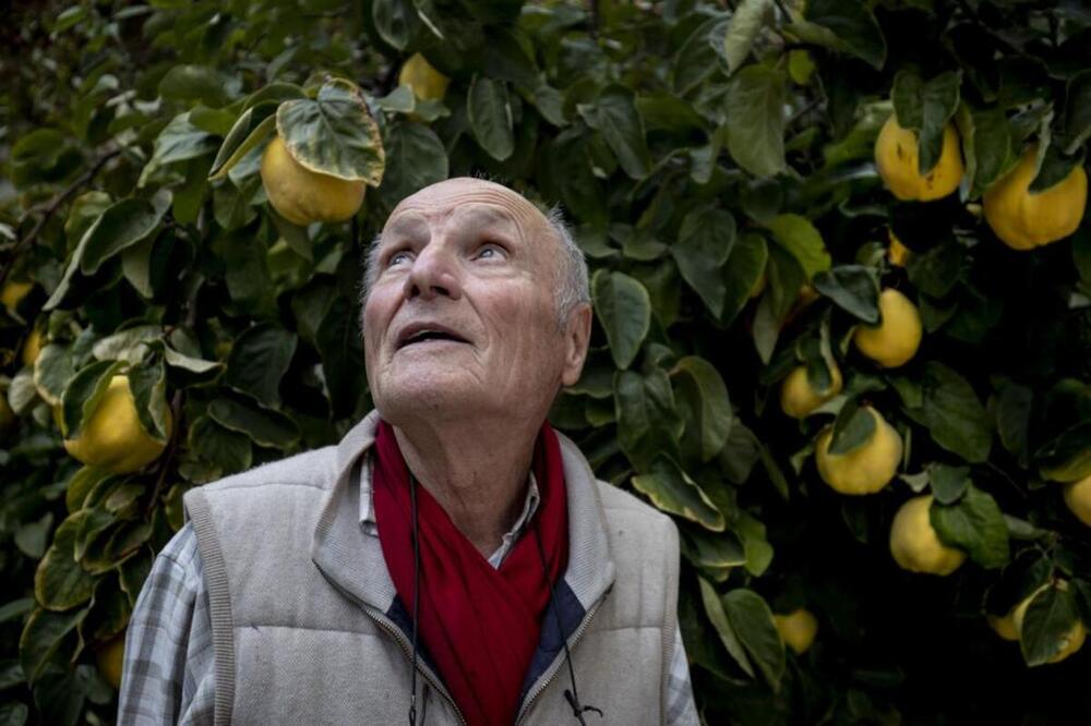 Las puertas de Antonio López para la Catedral de Burgos, el último sueño de un artista total