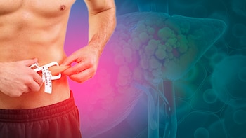 Cuál es el porcentaje de