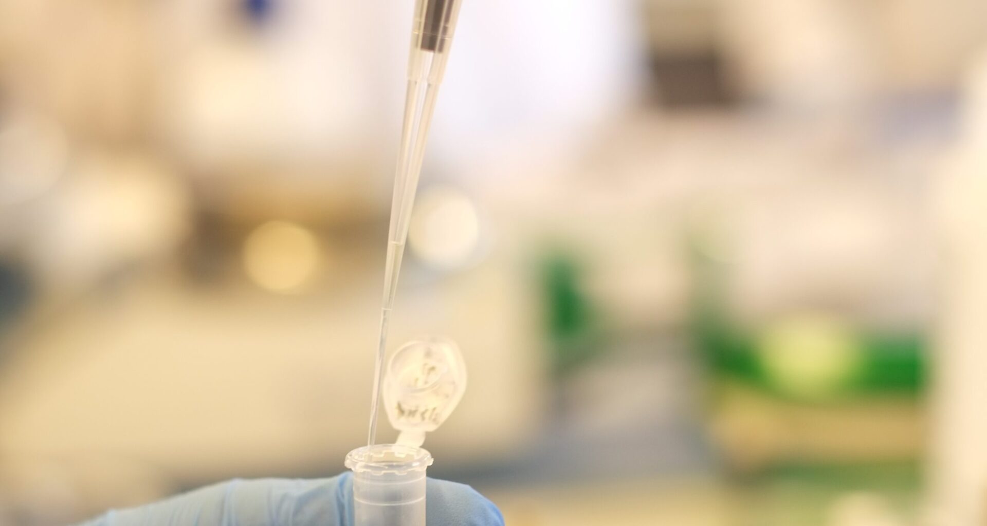 La Fundación «la Caixa» financia GlycoTARGET, un proyecto para potenciar la inmunoterapia contra el cáncer