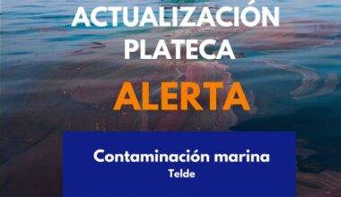 Portal de Noticias del Gobierno de Canarias