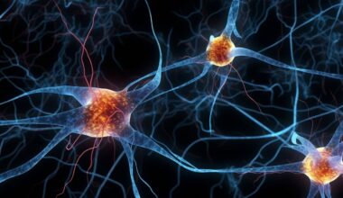 Así se ve el impresionante primer atlas cerebral logrado por la ciencia que cambia la perspectiva de la mente humana