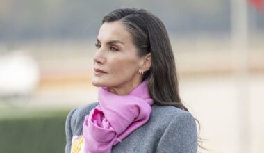 El vestido rosa de Letizia es tan básico, ponible y elegante como uno negro