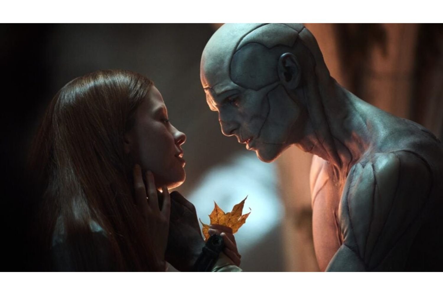 Diseño Sin Título 2025 11 22t161058.250