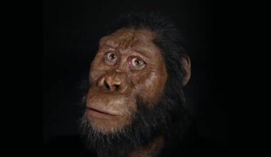 Lucy ya no está sola en el origen humano. Un pie fósil revela una especie desconocida que caminaba erguida junto a ella y obliga a reescribir nuestro árbol evolutivo