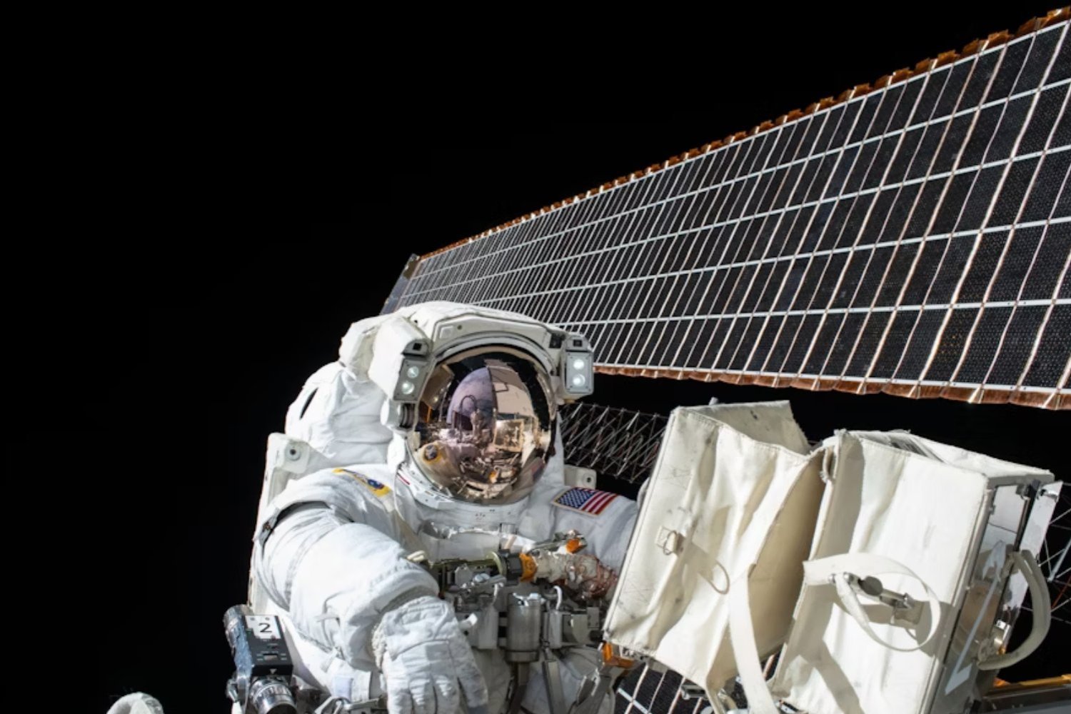 El cuerpo humano no está hecho para volver. Los extraños cambios que sufren los astronautas al regresar del espacio, según la NASA