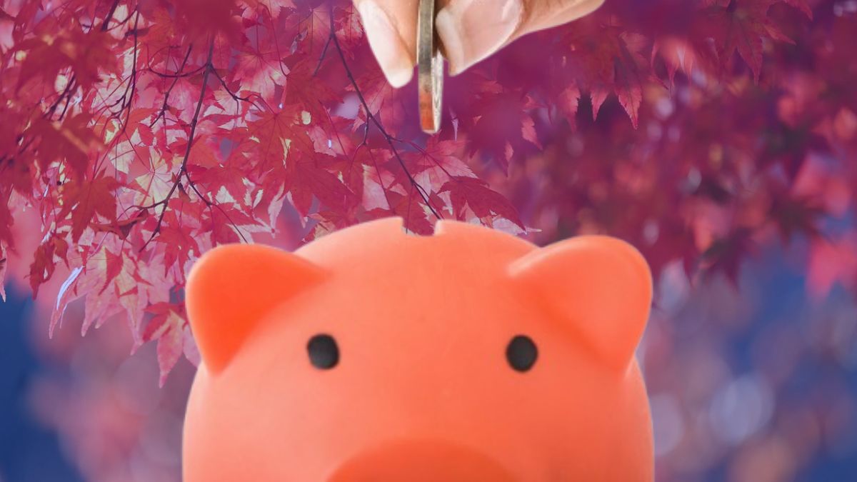 Los depósitos para asegurarse un 3% de TAE antes de que acabe noviembre 