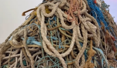 Un artista pone en venta cuerda vieja por más de un millón de euros: “Por peso, en realidad tiene muy buen valor”