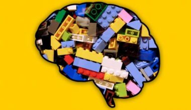 El cerebro reutiliza ‘Legos cognitivos’ para aprender tareas nuevas con una flexibilidad que la IA no alcanza