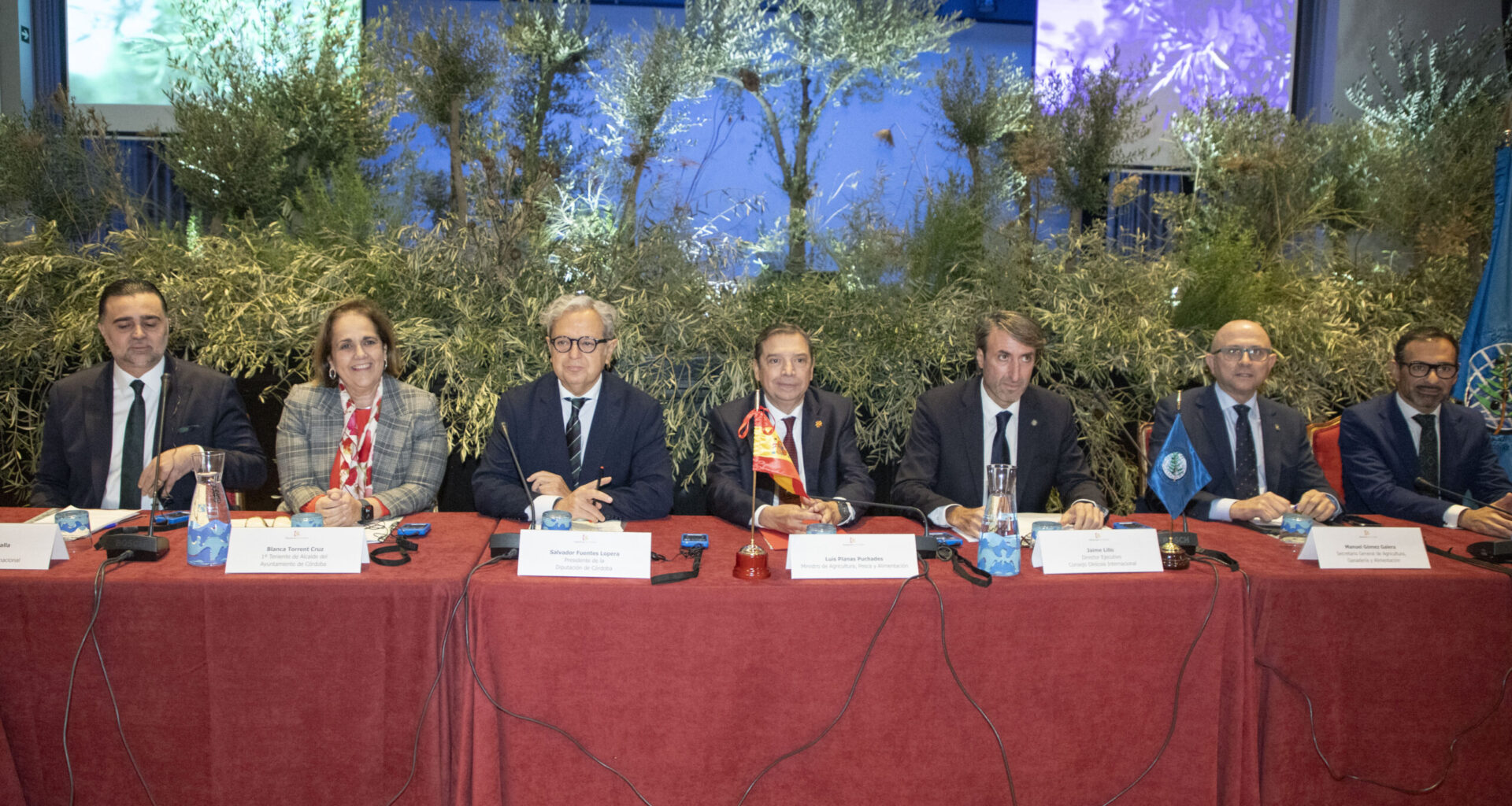 La Declaración de Córdoba pone el broche a la 122ª Reunión del Consejo Oleícola Internacional, celebrada en la Diputación