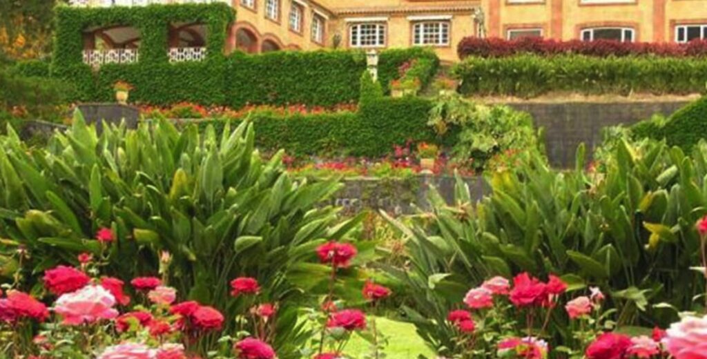 La UD Las Palmas compra la finca de Eufemiano Fuentes en Las Meleguinas. Historia negra, Fernando Alonso y el plan del club para usarla como centro deportivo.