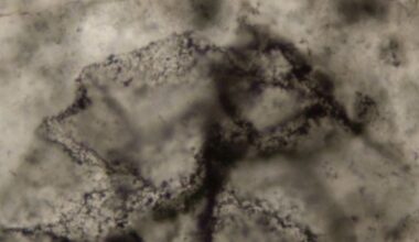 Captan, por primera vez, el 'eco químico' de la vida de hace 3.300 millones de años