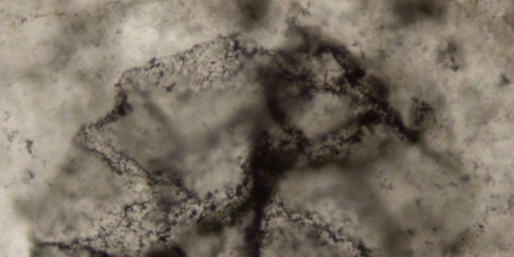 Captan, por primera vez, el 'eco químico' de la vida de hace 3.300 millones de años