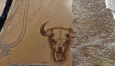 El artista de La Concha lleva sus dibujos a una galería