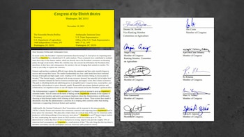 La primera carilla y algunas