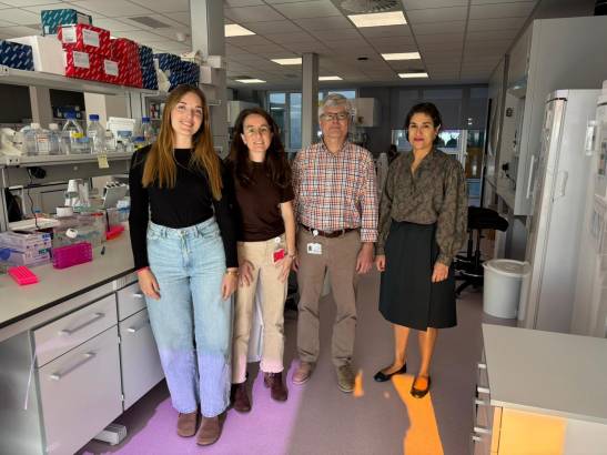 Identifican la célula que provoca el Sarcoma de Ewing