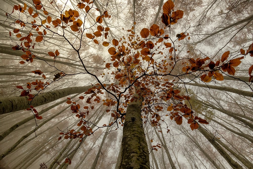 'Photoka' abre su foco más internacional