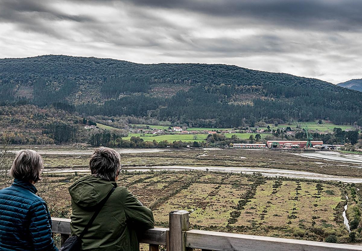 El Guggenheim se aleja de Urdaibai: el proyecto está a punto de abandonarse en un cajón