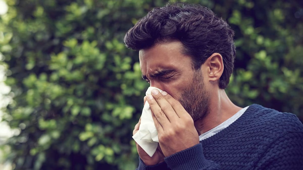 Gripe en Galicia: alerta temprana, síntomas, riesgos y recomendaciones sanitarias | Sociedad